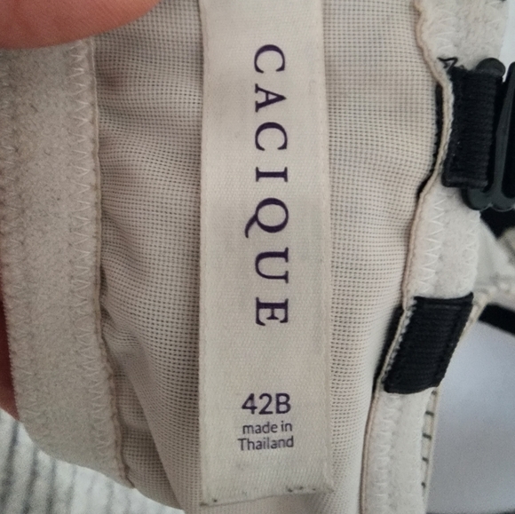 Lane Bryant striped push up bra - Picture 2 of 3